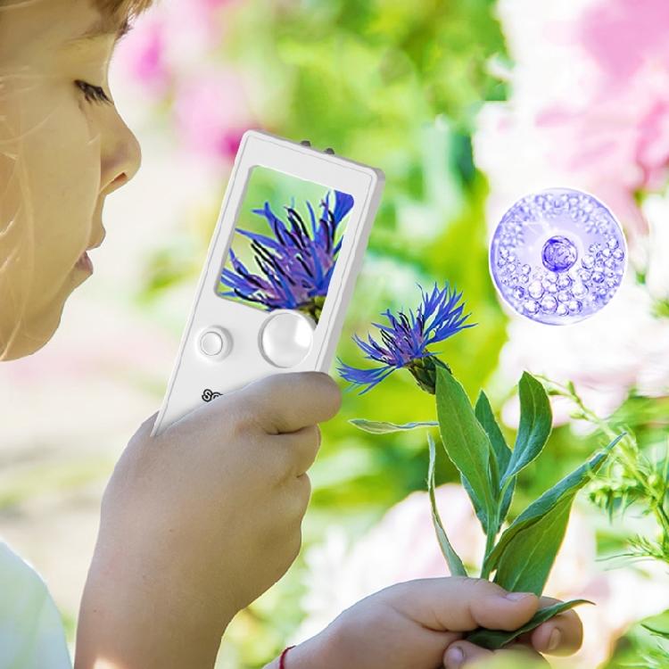 Magnifying Tool with LED Light for Office Readers Hobbies, Crafts, and Reading Detailed Viewing Work Jewelry Inspection