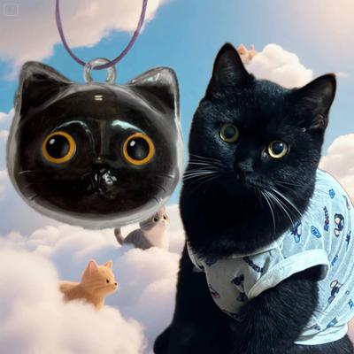 1-10PCS Cat Pendant Keychain Transparent Storage Box Pet Fur Keepsake Organizer Creative Cat Hair Holder Hanging Decoration