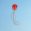 Long-Tail Soft Octopus Kite