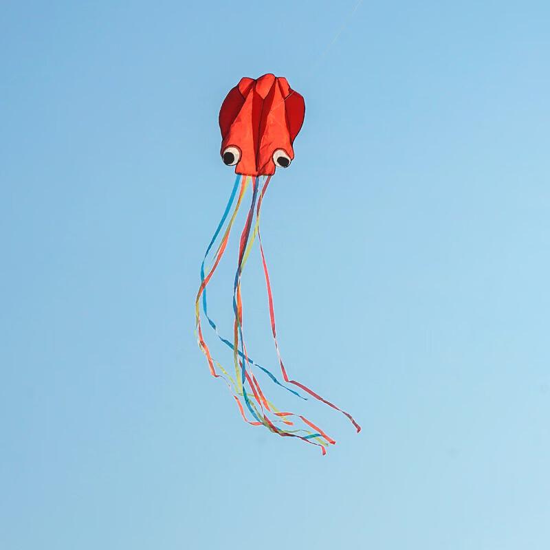 Long-Tail Soft Octopus Kite