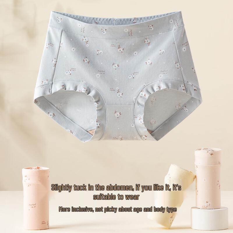 Ding Guagua Women's Cotton High-Waist Briefs (4-Pack)