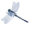 Künstliche Libellen-Dekoration mit Kordel/Anstecknadel Tragbar Outdoor Camping Mücken Fliegenabwehr Simuliertes 3D Libellenmodell Ornament Kinder Lernspielzeug