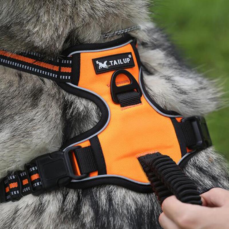 Duże szelki dla psa z uchwytem Oddychająca kamizelka z szelkami dla zwierząt domowych dla psów średnich i dużych akcesoria dla psów Spacer Trening Zwierzę domowe
