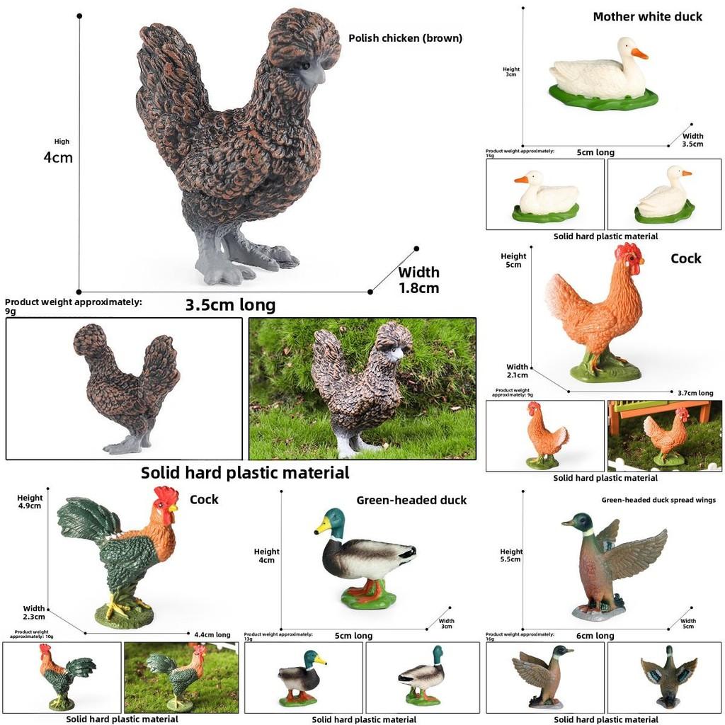 Animal Model Toy Plastic Duck Figurine For Childs Educational Play