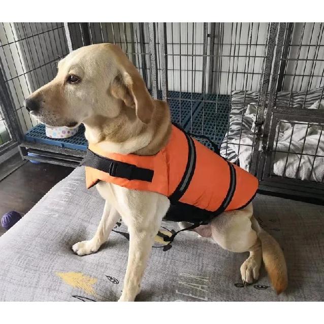 Dog Life Jacket Ripstop Reflective Pet Cats Swimming Vest with Buoyancy Durable Rescue Handle for Cat Small Medium Large Dogs