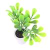 1:12 Doll House Mini Potted Small Green Plant Decoration Ornaments