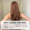 EASIHAIR Long Honey Brown Ombre Highlight Synthetic Wigs for Women Mixed Brown Wavy Natural Wigs Middle Part Cosplay Wigs Heat Resistant