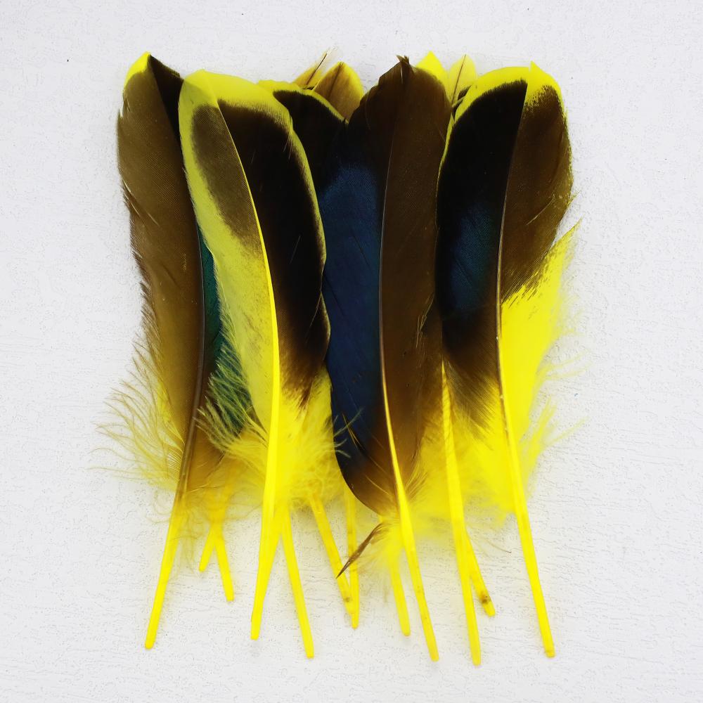 FeatherYellow Feathers for Crafts, 31 Styles Natural Pheasant, Rooster, Duck Feathers Bulk for Costume DIY, Fly Tying,Party Decoration