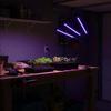 Lampe de croissance des plantes avec 3 panneaux LED pour éclairage, culture avec minuterie, clip, USB