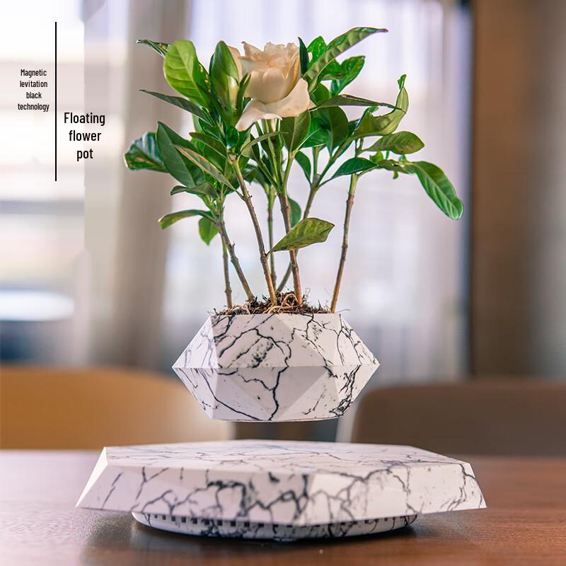 

Magnetic Levitation Potted Plant: Creative Bonsai Handicraft Gift for Teacher s Day & Living Room Decor.