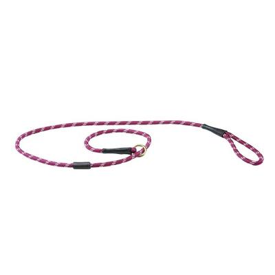 Rope Leather Slip Dog Lead