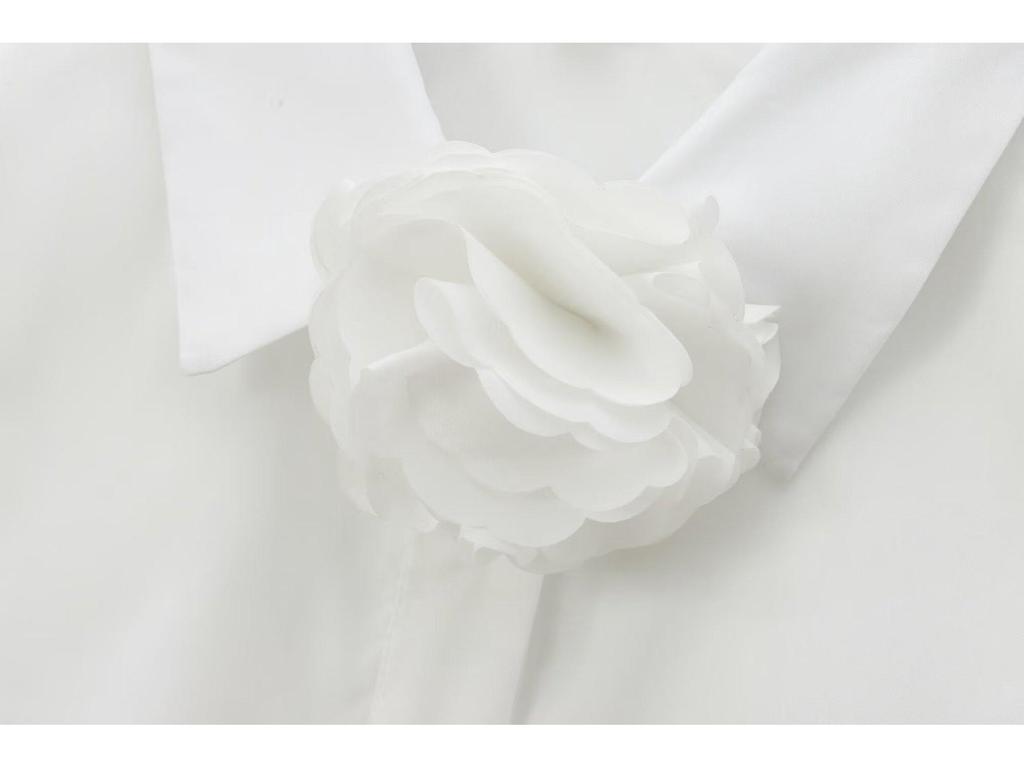 2024 Autumn Women's European & American Style Floral Poplin Long Sleeve Shirt