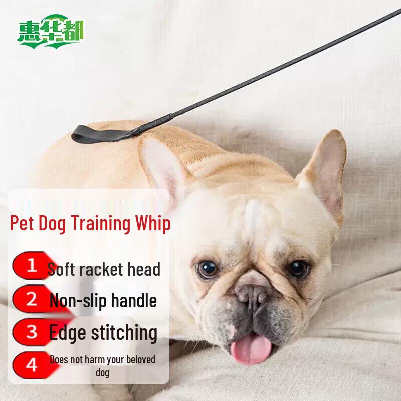 Hui Huadu Dog Training Equipment