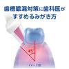 Dent Health Gentle 6 Brushes Toothbrush, Care, Massage, Regular,