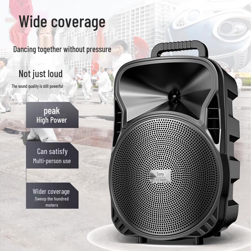 Soai High-Power Portable Outdoor Karaoke Trolley Speaker