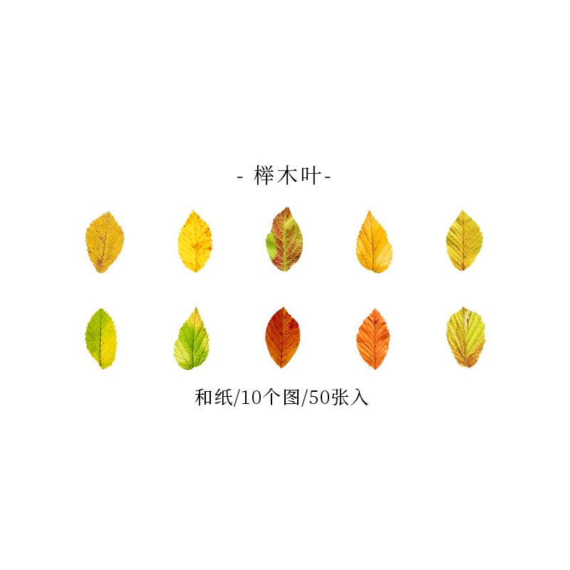 1roll/50pcs Yellow Autumn Leaves Series, Creative Plant Stickers for Hand Account Decoration