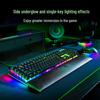 Razer BlackWidow V4 Gaming Keyboard