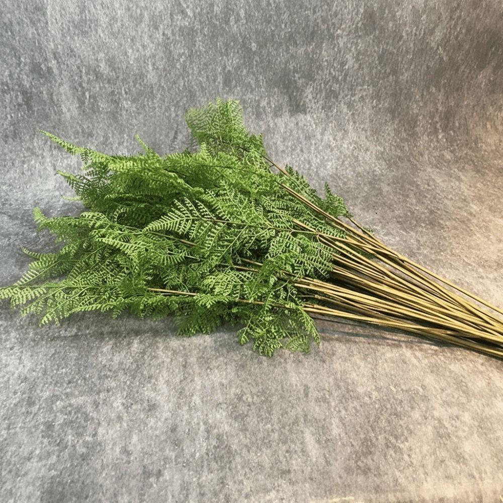 Real Touch Artificial Fern Plant Plastic Material Handmade Realistic Artificial Fern Elegant Design Artificial Greenery Fern