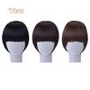 Tenfyer Pretty Girl's Clip On/in Neat Bangs Straight Fake Bob Style Fringe Hairpiece
