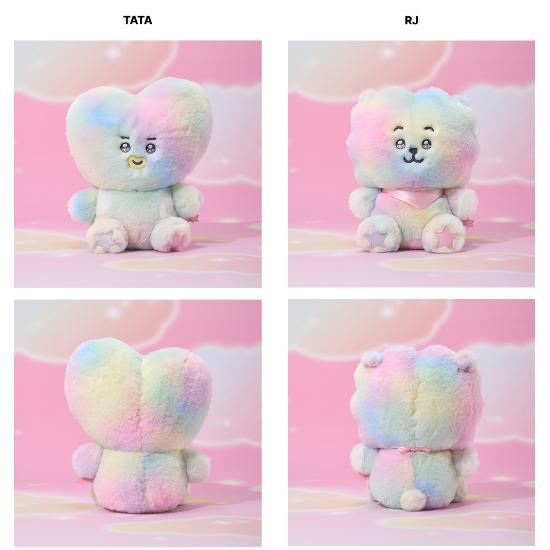 BTS Medium Plush Beyond The Journey - Collectible Character Doll TATA