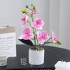 Simulated Phalaenopsis Potted Flower Finished Indoor Home Ornament Soft Rubber Phalaenopsis False Flower
