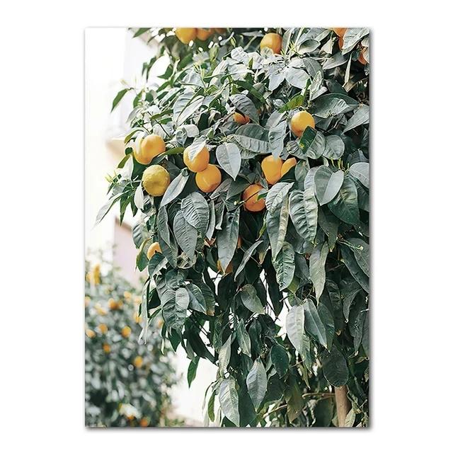 Spanish Architecture Puglia Village Photography Poster & Prints Green Leaf Indoor Plants Painting Decor Boho Picture Home Decor