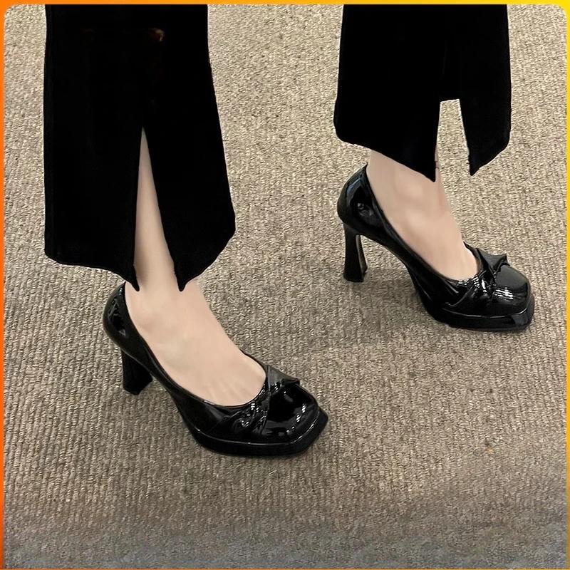 Autumn 2024 New High Heels Female Minority Shallow Mouth Thick with Temperament Fairy Wind Single Shoes Female