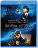 Harry Potter and the Stone Fantastic Beasts and Where to Find Them Wizarding World Entrance Set Philosopher's & Blu-ray (2-Disc Set) [Blu-ray]