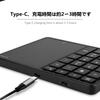 2.4G Wireless Numeric Keypad with Touchpad, 22-Key Portable Bluetooth Numeric Keypad, USB-C Rechargeable for Financial Accounting (Black)