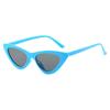 With Border Sunglasses Everyday Sunglasses Outdoor Sunglasses