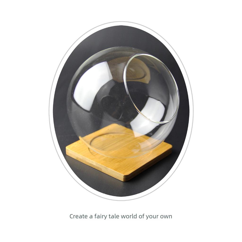 Spherical Glass Eco-Bottle: Succulent & Moss Terrarium Vase