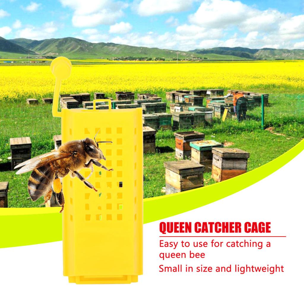 Plastic   Cages, 10 Pieces, Beekeeping Tool for Beekeeper, Easy to Use, Lightweight and , with Essential Equipment for Beekeepers to Catch  s,