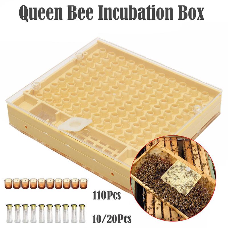 Complete Queen Rearing Cupkit System Bee Beekeeping Catcher Box & 100 Cell Cups Complete Queen Rearing Cupkit System Bee Beekeeping Catcher Box & 100 Cell Cups