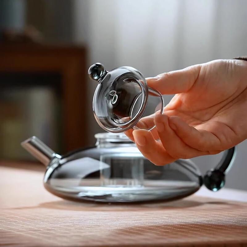 Wutuo Heat-Resistant Glass Teapot with Infuser