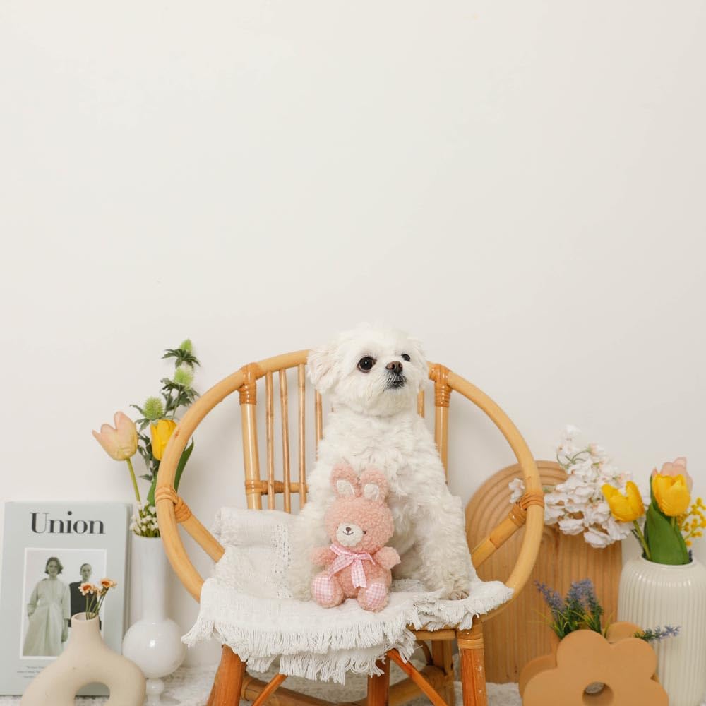 Rabbit Gingham Check Ribbon Plush Squeaky Dog Chew Toy Plush Squeaky for Small Dogs monchéri Monchéri Toy, (Pink/FREE), Toy, Toy,