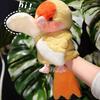 Parrot Hand Puppet Plush Toy Soft Stuffed Bird for Baby Early Education Kindergarten Cute Ventriloquist Doll for Storytelling Interactive Gift for