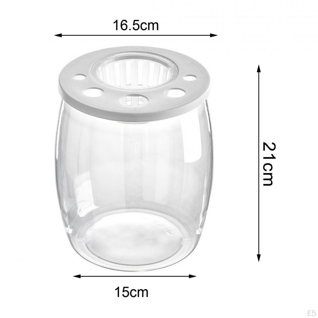 Bowl Tank Creative Transparent Table Ornament Trendy DIY Micro Landscape Aquarium for Office