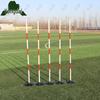 Yongdai Sports Agility Training Poles and Bases