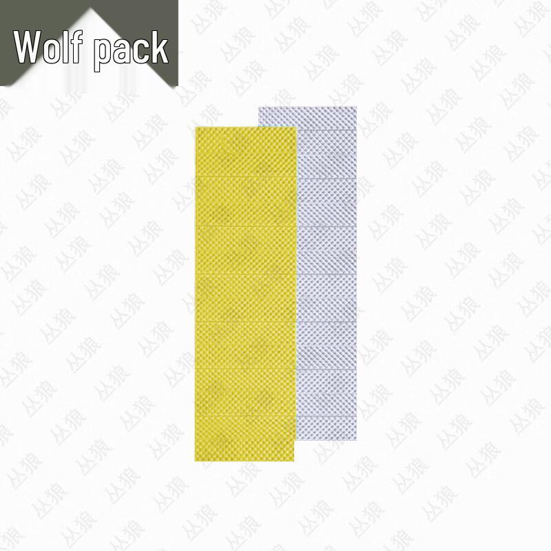 Conglang Outdoor Portable Foldable Camping Mat