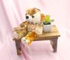 KAWAII Bear Chocolate Small