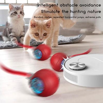 Katter – Kattleksaker