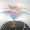 10 Pezzi Piume di Struzzo Colorate per Artigianato Piuma di Struzzo Bianca Grande Decorazione Centrotavola Carnevale Matrimonio Festa Decorazione