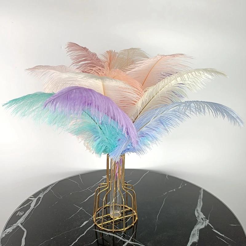 10 Pezzi Piume di Struzzo Colorate per Artigianato Piuma di Struzzo Bianca Grande Decorazione Centrotavola Carnevale Matrimonio Festa Decorazione