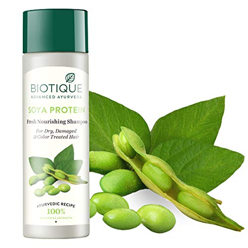 Biotique Sojaprotein Shampoo für trockenes, geschädigtes Haar 120ml pH-Balance Gesunder Glanz Farbschutz Natürliche botanische Extrakte