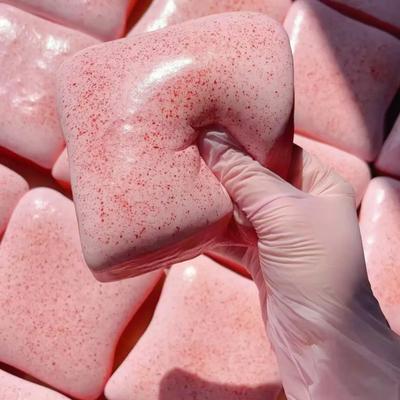 Soft Berry Toast Squeeze Toy Slow-Rise Stress Relief Fidget Toy for