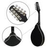 IRIN Tibetan Eight-String Ethnic Mandolin Instrument
