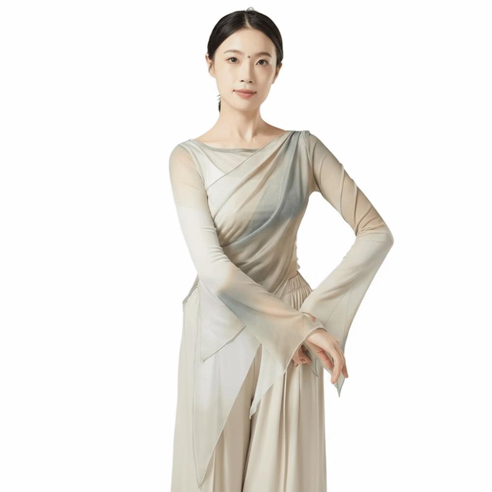 Long Slit Classical Dance Mesh Top Prints Chinese Hanfu  Women Dance Wear