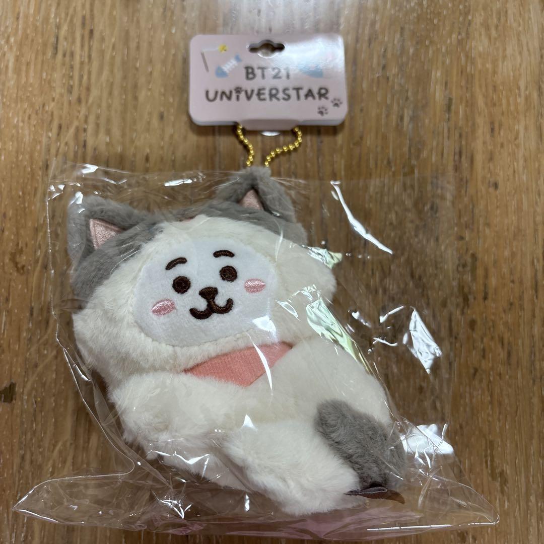 

[USED] BT21 CAT DAY Plush Mascot RJ
