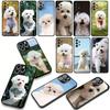 Phone Cover Bichon Frise Dog Pet Casing for Xiaomi Redmi Note 14 12 13 ProPlus A4 A3 Pro Plus 12C 13C 14C 5G + Case
