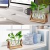 Plant Glass Container with Wooden Stand, 3 Glass Bulb Planters, Plant Nurturing Station, Gifts for Plant Lovers, Home Decor Vase